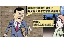 邢台债务清欠服务